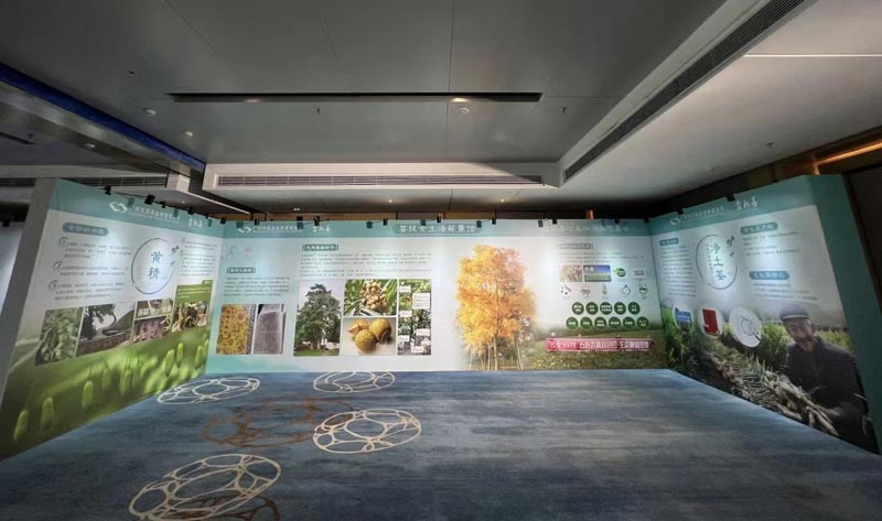 品牌全案策劃怎么寫-品牌營銷全案策劃的內容包括什么？